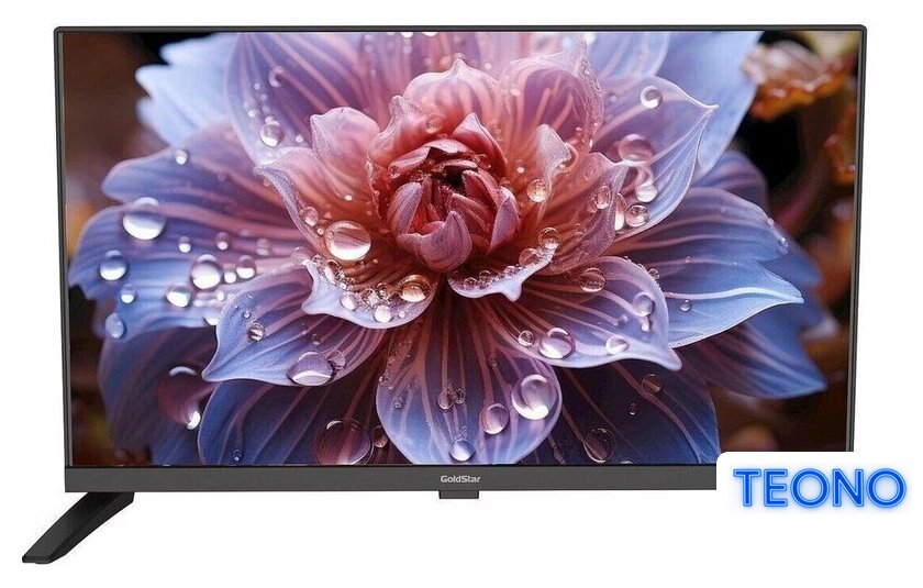 Телевизор GoldStar LT-24R1100 - Изображение №1 — Интернет-магазин Teono.by