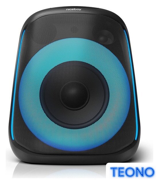 Беспроводная колонка Niceboy Party Boom 80W - Изображение №2 — Интернет-магазин Teono.by