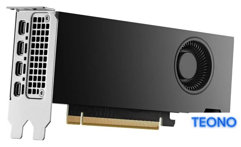 Видеокарта NVIDIA RTX 2000 Ada Generation 16GB GDDR6 900-5G192-2240-000 - Изображение №1 — Интернет-магазин Teono.by