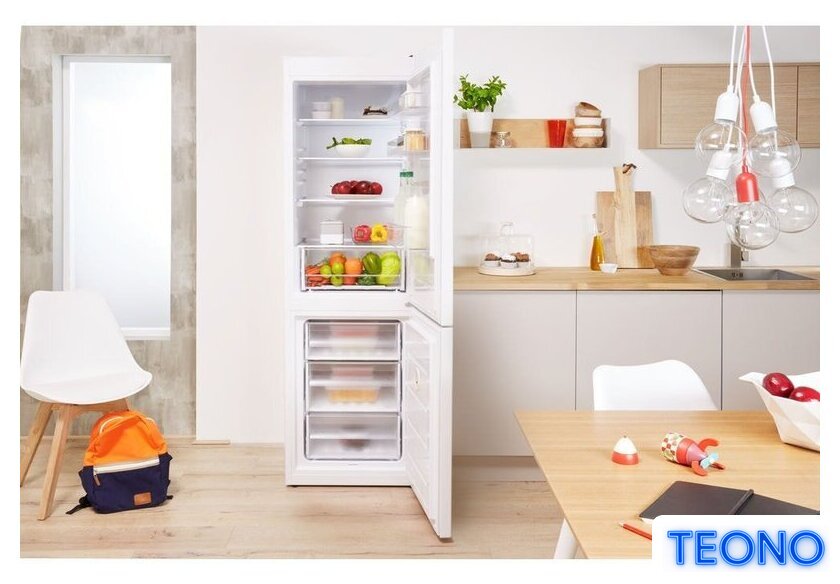 Холодильник Indesit DS 4200 W - Изображение №3 — Интернет-магазин Teono.by