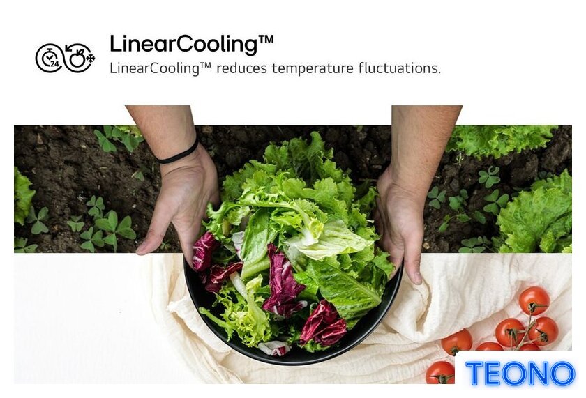 Холодильник LG DoorCooling+ GBV21L0EPY - Изображение №11 — Интернет-магазин Teono.by