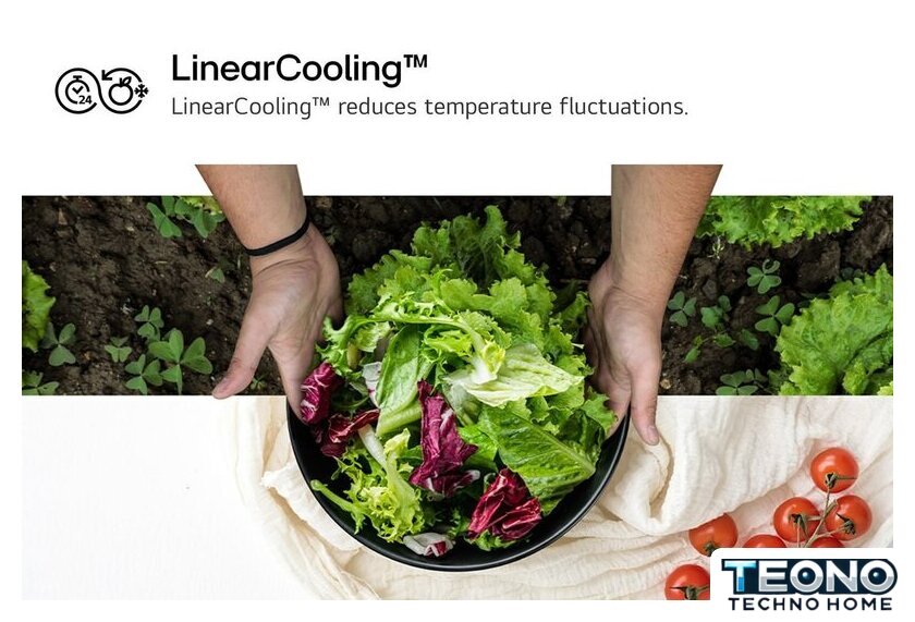Холодильник LG DoorCooling+ GBV22L0EPY - Изображение №12 — Интернет-магазин Teono.by