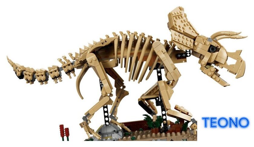 Конструктор LEGO Jurassic World 77985 Окаменелости динозавров: Трицератопс - Изображение №3 — Интернет-магазин Teono.by