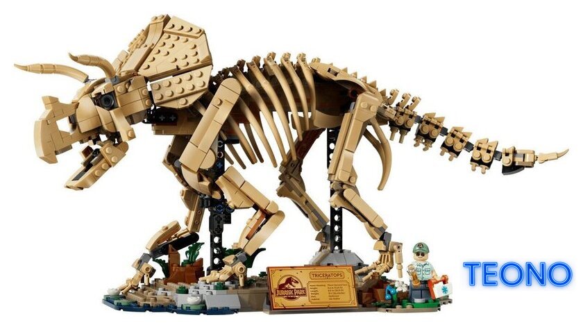 Конструктор LEGO Jurassic World 77985 Окаменелости динозавров: Трицератопс - Изображение №2 — Интернет-магазин Teono.by