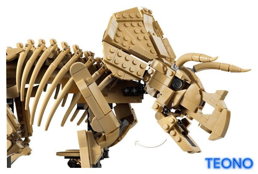 Конструктор LEGO Jurassic World 77985 Окаменелости динозавров: Трицератопс - Изображение №5 — Интернет-магазин Teono.by
