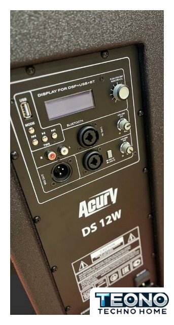 Активная акустика Acury DS12W - Изображение №2 — Интернет-магазин Teono.by