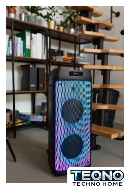 Патибокс Blaupunkt PB08DB - Изображение №4 — Интернет-магазин Teono.by
