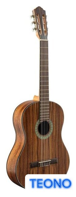 Акустическая гитара Flight C-110 Teak 4/4 - Изображение №2 — Интернет-магазин Teono.by