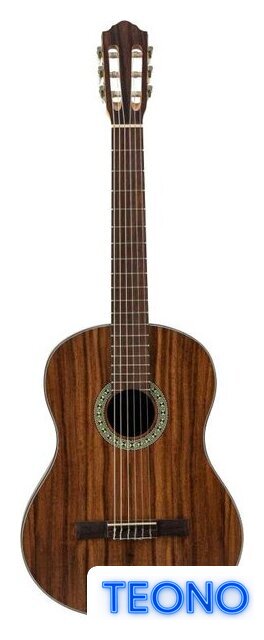 Акустическая гитара Flight C-110 Teak 4/4 - Изображение №1 — Интернет-магазин Teono.by