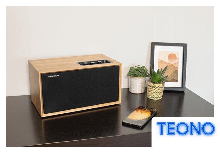 Беспроводная колонка Thomson WS502 - Изображение №5 — Интернет-магазин Teono.by