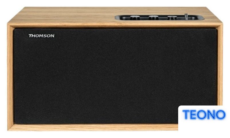 Беспроводная колонка Thomson WS502 - Изображение №1 — Интернет-магазин Teono.by