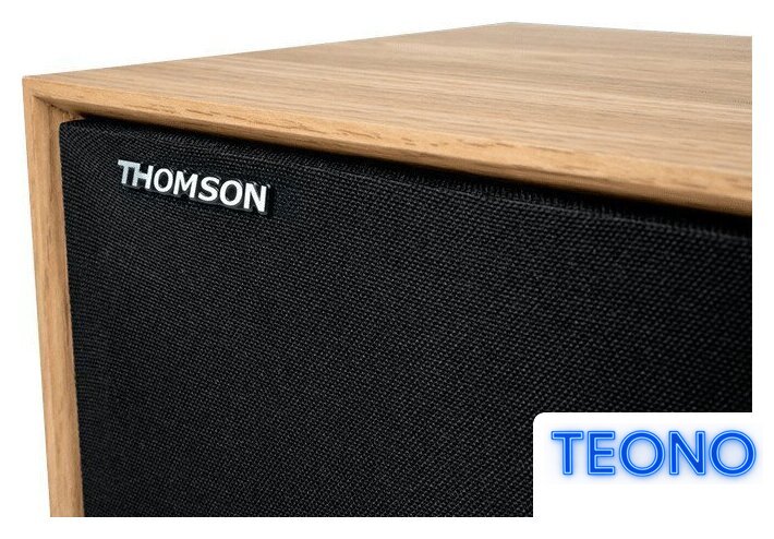 Беспроводная колонка Thomson WS702 - Изображение №4 — Интернет-магазин Teono.by