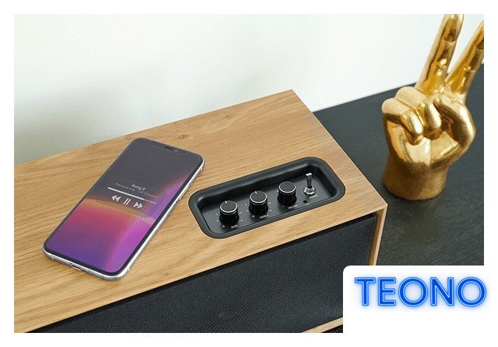 Беспроводная колонка Thomson WS702 - Изображение №7 — Интернет-магазин Teono.by
