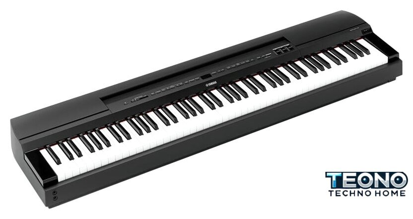 Цифровое пианино Yamaha P-255 (черный) - Изображение №11 — Интернет-магазин Teono.by