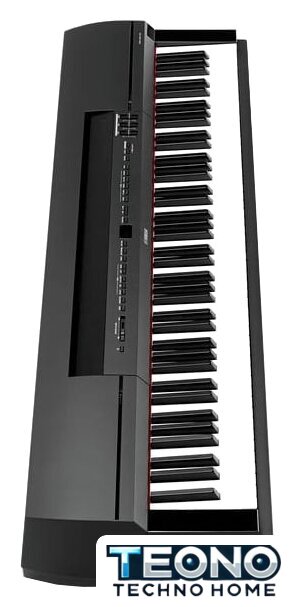 Цифровое пианино Yamaha P-255 (черный) - Изображение №21 — Интернет-магазин Teono.by