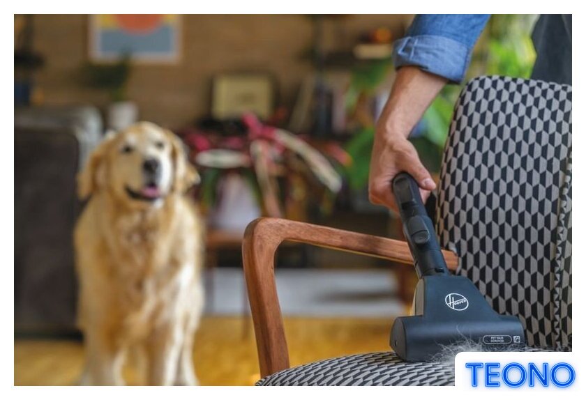 Пылесос Hoover HE722PET 011 - Изображение №3 — Интернет-магазин Teono.by