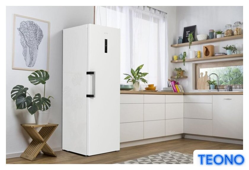 Однокамерный холодильник Gorenje R619EAW6 - Изображение №22 — Интернет-магазин Teono.by