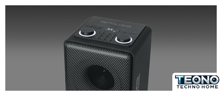 Патибокс Muse M-1808 DJ - Изображение №2 — Интернет-магазин Teono.by