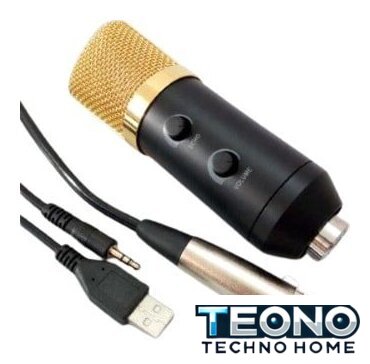 Проводной микрофон Biema BM750 - Изображение №1 — Интернет-магазин Teono.by