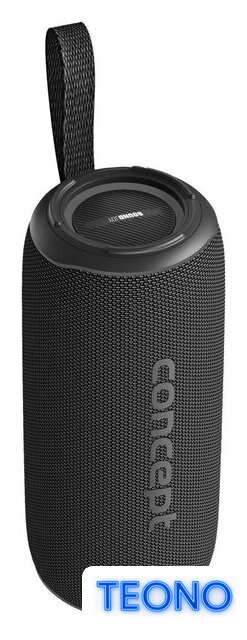 Беспроводная колонка Concept SoundJoy BR5530 - Изображение №1 — Интернет-магазин Teono.by