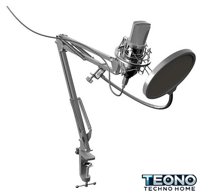 Проводной микрофон Ritmix RDM-169 - Изображение №1 — Интернет-магазин Teono.by