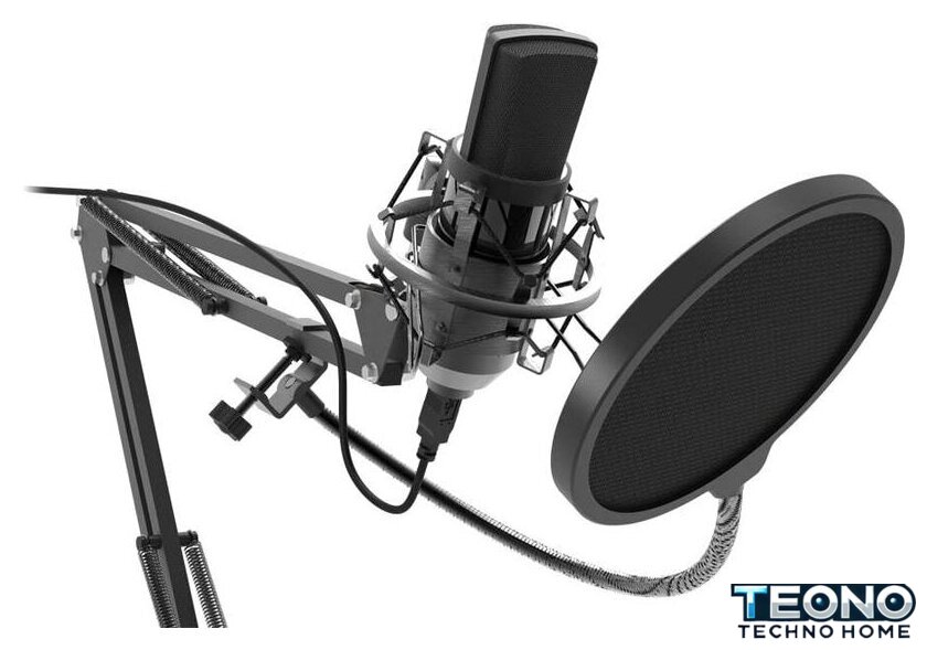 Проводной микрофон Ritmix RDM-169 - Изображение №2 — Интернет-магазин Teono.by