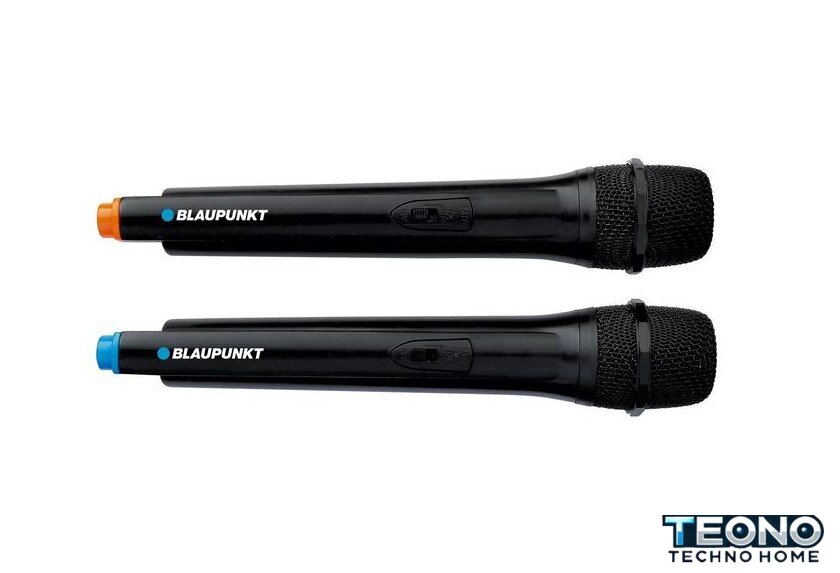 Патибокс Blaupunkt PB12DB - Изображение №3 — Интернет-магазин Teono.by