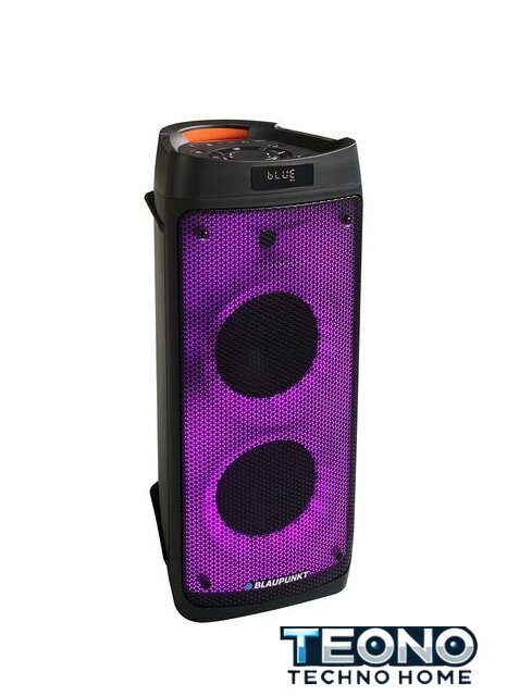 Патибокс Blaupunkt PB06DB - Изображение №4 — Интернет-магазин Teono.by