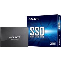 Gigabyte 256GB GP-GSTFS31256GTND Image #4