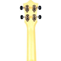 Flight TUS40 Arcana Image #5