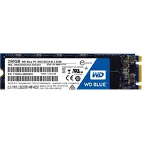 WD Blue M.2 2280 250GB [WDS250G1B0B]