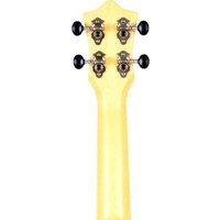 Flight TUS40 Granada Image #5