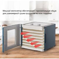 Сушилка для овощей и фруктов StarWind SFD6431 - Превью изображения №12 — Интернет-магазин Teono.by