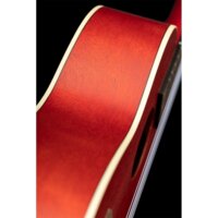 Ortega Earth RUFIRE Image #3