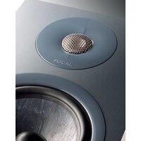 Focal Chora Surround Image #4