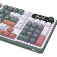 Royal Kludge RK-S98 RGB Clay Green (RK Pale Green) Image #4