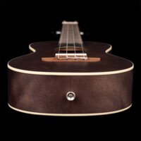 Ortega Earth RUCOAL Image #6