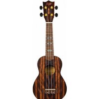 Flight DUS460 Amara Image #2