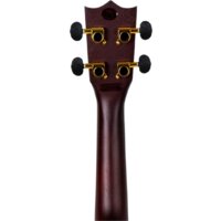 Flight DUS460 Amara Image #9