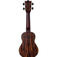 Flight DUS460 Amara Image #5