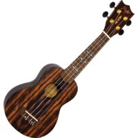 Flight DUS460 Amara Image #6