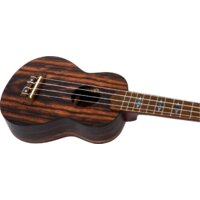 Flight DUS460 Amara Image #7