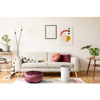 Funai Yakata HAP-Y230S01E Image #6