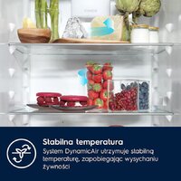 Холодильник Electrolux GreenZone 700 E7TNGE75S - Превью изображения №2 — Интернет-магазин Teono.by