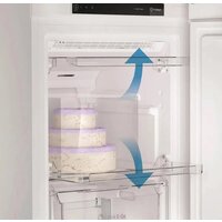 Морозильник Indesit DFZ 5175 G - Превью изображения №5 — Интернет-магазин Teono.by