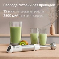 Погружной блендер Redmond (Редмонд) BH440 - Превью изображения №3 — Интернет-магазин Teono.by