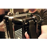 Prodipe AL21 Romanelli Accordion Image #6