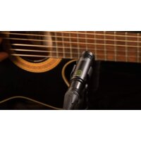 Lewitt LCT 040 Match Pair Image #6