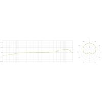 Lewitt LCT 040 Match Pair Image #7