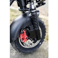 AVM Plus Maxspeed Image #4